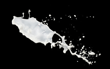 Poster - milk flow splash isolated on black background