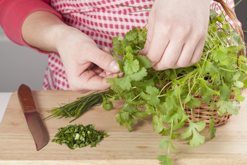 Wall Mural - Cutting herbs