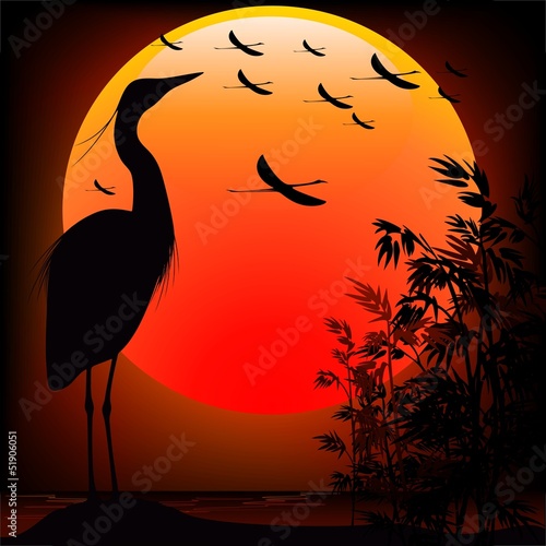 Heron Shape on Stunning Sunset-Airone nel Tramonto