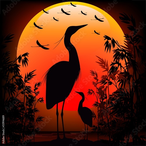 Fototapeta na wymiar Heron Shape on Stunning Sunset