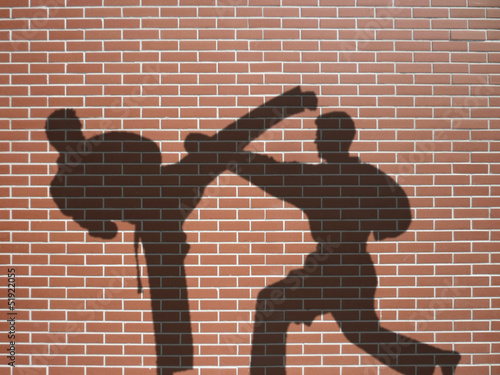 Fotoboard na płycie Cień 2 karateka na nowej ścianie