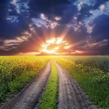 Country Road And Sunset