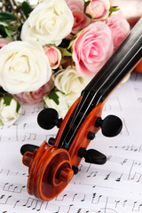 Poster - Classical violin  with flowers on notes