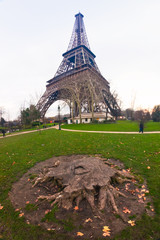 Wall Mural - Eiffel tower at sunrise, Paris.