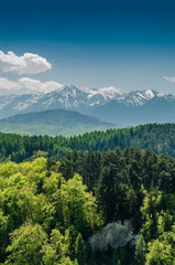 Sticker - Carpathian Mountains Scenery