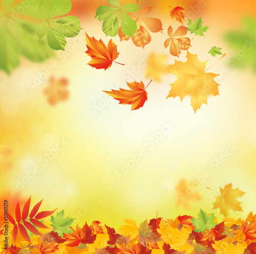 kolorowe-liscie-motyw-jesieni