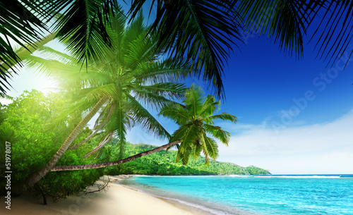 Naklejka na meble beach in sunset time on Mahe island in Seychelles