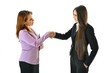 © akg-photography - Business Handshake (Women)