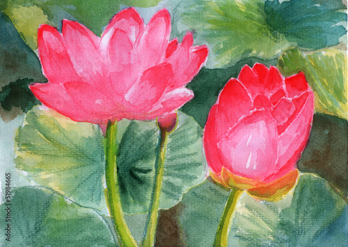 czerwone-kwiaty-lotosu-na-tle-zielonych-lisci-malarstwo-olejne-akwarela