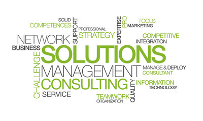 Wall Mural - network solutions management consulting word tag cloud image