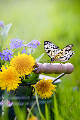 Nowoczesny obraz na płótnie Schmetterling