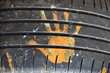 yellow palm tire