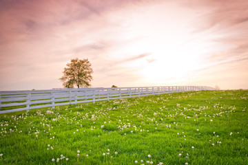 Wall Mural - Dramatic sunset sky at country site.