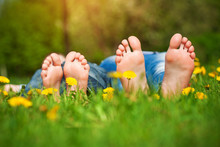 Feet On Grass. Family Picnic In Spring Park