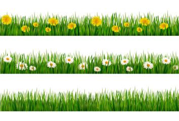 Poster - Three nature backgrounds of green grass with dandelions and dais