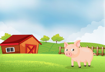 Poster - A pig in the farm with barn