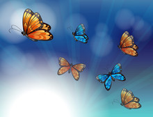 Colorful Butterflies In A Gradient Colored Stationery