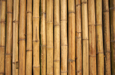  Bamboo wall