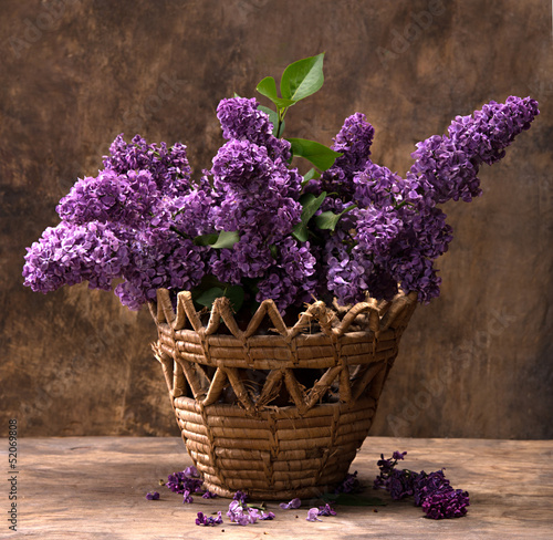 Naklejka dekoracyjna Blooming branches of lilac