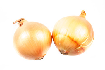 Sticker - onions isolated on white background