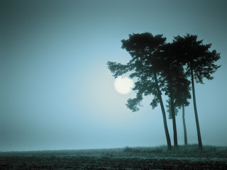 Wall Mural - blue mood