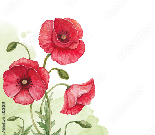 Naklejka - mata magnetyczna na lodówkę Watercolor background with poppy flowers