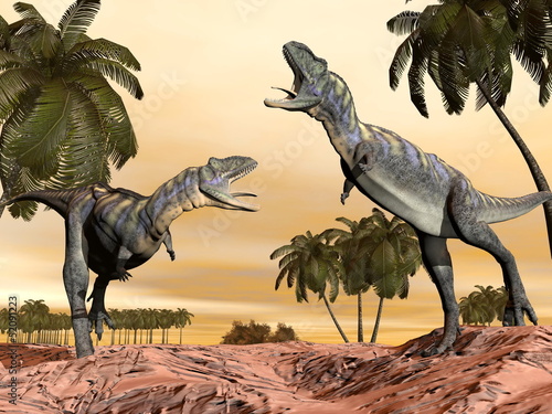 Naklejka dekoracyjna Acasaurus dinosaurs fight - 3D render