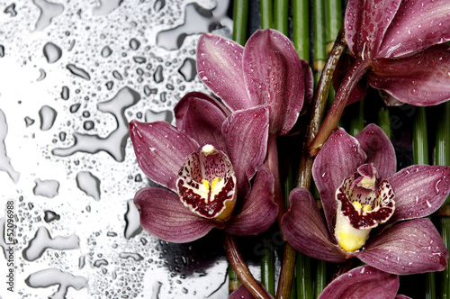 Board z aluminiowym obramowaniem Piękna gałąź orchidei z bambusowym gajem