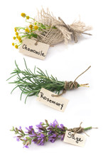 Sage, Rosemary And Chamomile Herbs