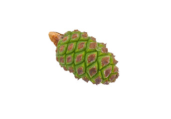 green cone