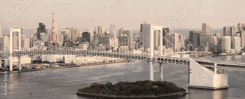 Naklejka samoprzylepna Panoramę tokio - panorama w sepii