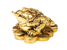 Chinese Feng Shui Frog With Coins
