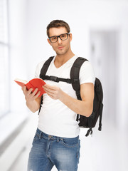 Poster - travelling student