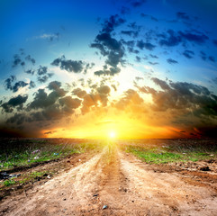 Wall Mural - Country road and cumulus clouds