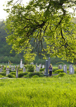 Countryside Cemetery With Green Grass And Trees