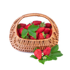 Canvas Print - strawberry in wicker basket on white background