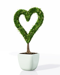 Wall Mural - a plant in the shape of heart