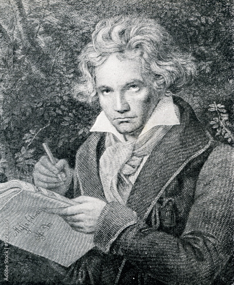 Portrait of german composer Beethoven - obrazy, fototapety, plakaty 