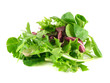 Salad rucola, frisee, radicchio and lamb's lettuce