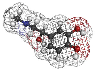 Wall Mural - Adrenaline (epinephrine) hormone and neurotransmitter, molecular