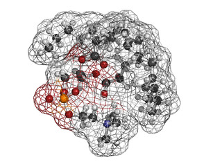 Wall Mural - Phosphatidylcholine (PC) cell membrane building block, molecular