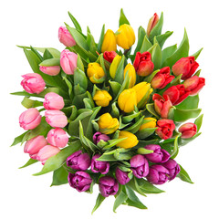 Wall Mural - bouquet of fresh multicolor tulips