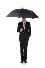 Canvas Print - Business Man with an umbrella