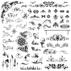 Set of decorative  floral elements.