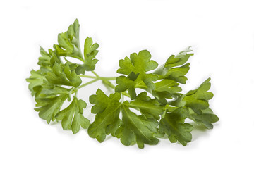 Poster - Parsley leaves