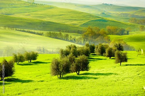 Board z aluminiowym obramowaniem Wieś, san quirico d`orcia, toskania, włochy