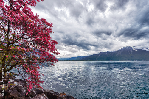 Tapeta ścienna Kwiaty przeciw górom, montreux. 