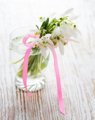 Wall Mural - Bouquet of snowdrop flowers