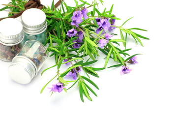 Poster - Mint Bush and small bottle