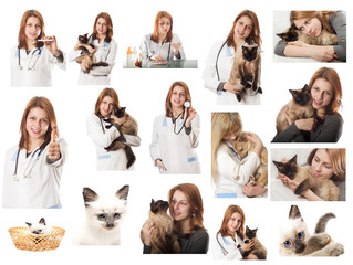 Wall Mural - Veterinary doctor